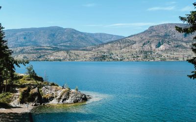 Lake Life Still Sells