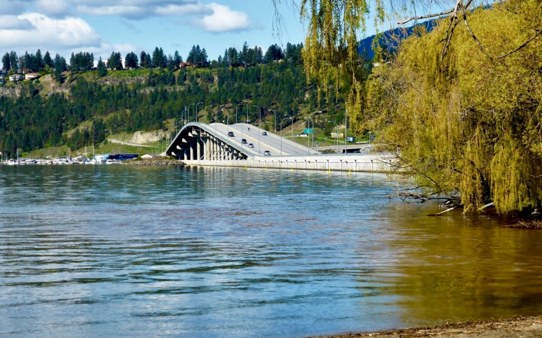 Local Community Highlights