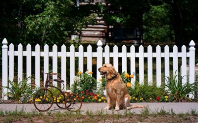 Both Sides of the Fence